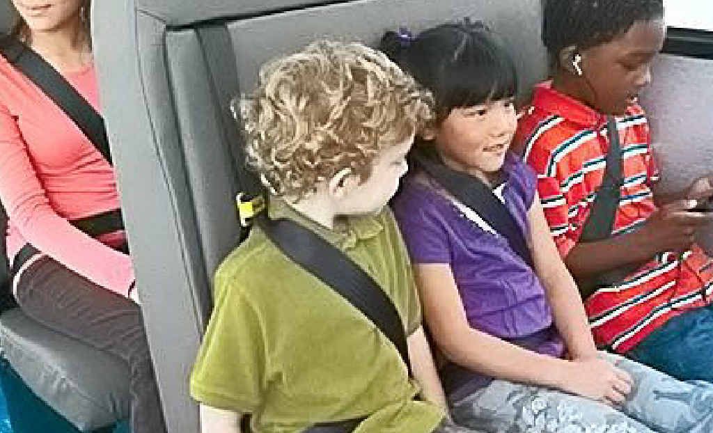 Making seatbelts on country coaches mandatory is a bill before State Parliament this week. It is an issue that has worried parents of children travelling to school by bus. Making seatbelts on country coaches mandatory is a bill before State Parliament this week. It is an issue that has worried parents of children travelling to school by bus.